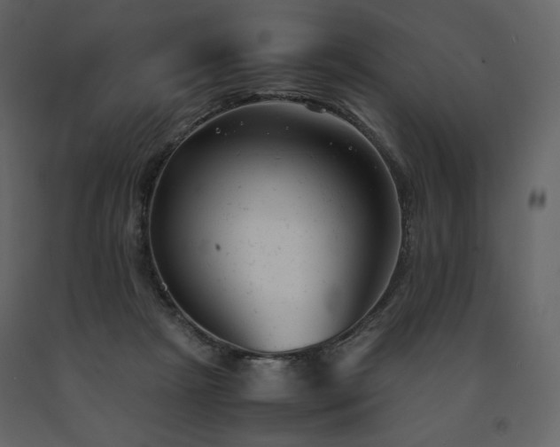 X0000091660265200708231313