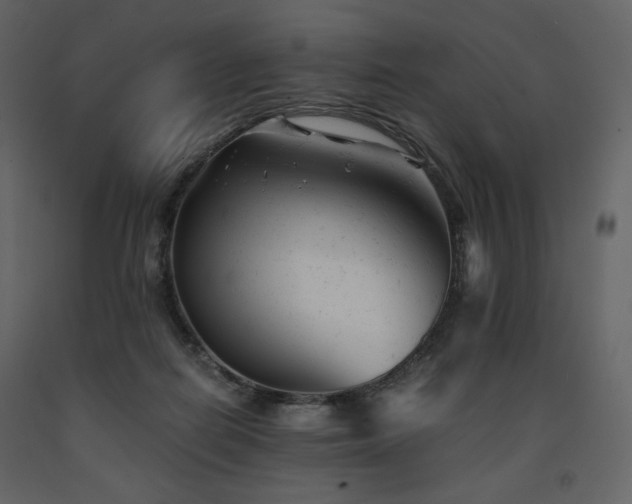 X0000091660266200708231313