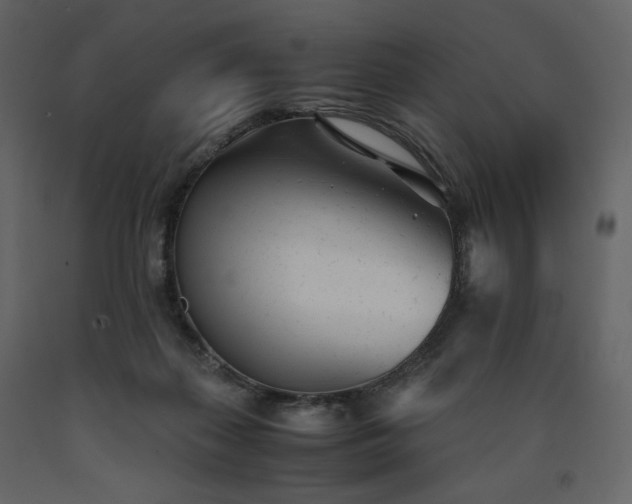 X0000091660267200708231313