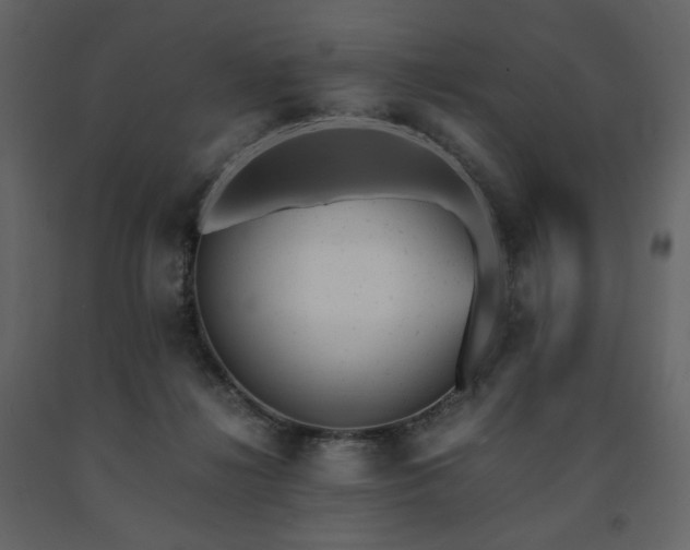 X0000091660268200708231313