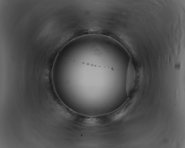 X0000091660269200708231313