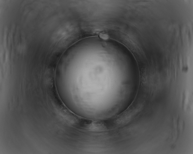 X0000091660270200708231313