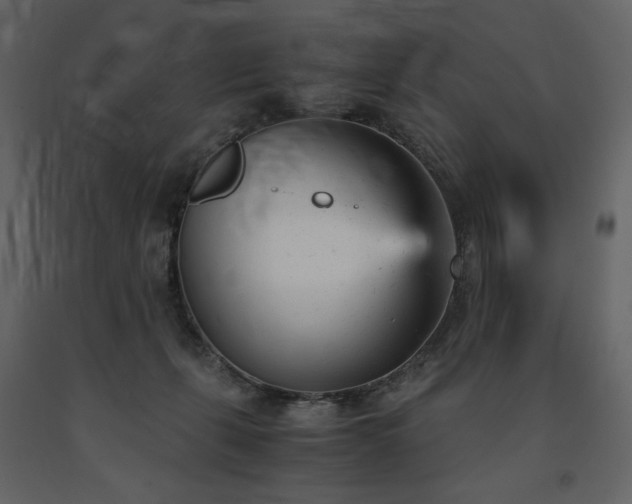 X0000091660271200708231313