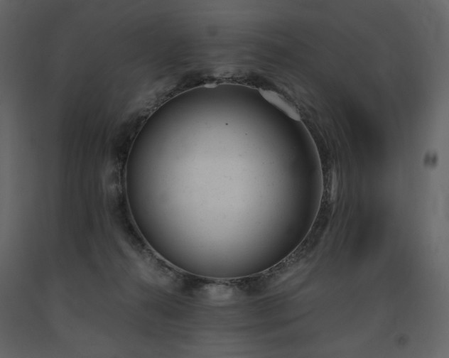 X0000091660272200708231313