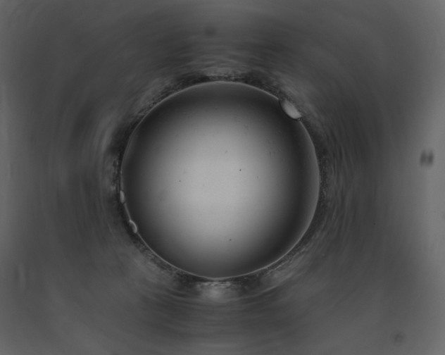 X0000091660273200708231313