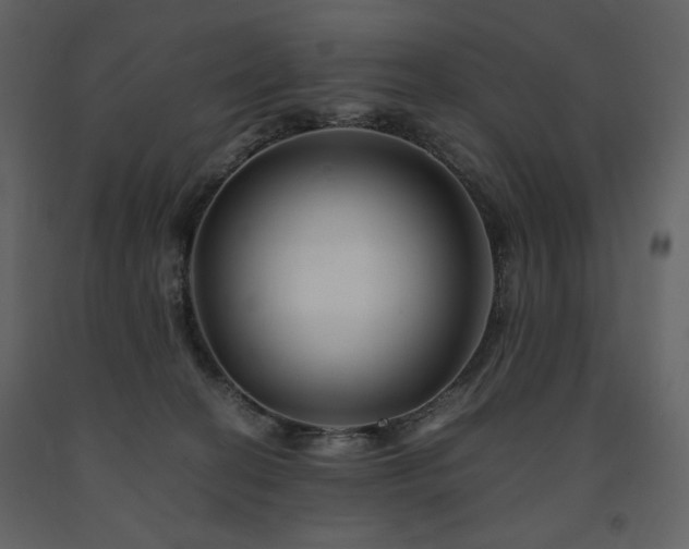 X0000091660274200708231313