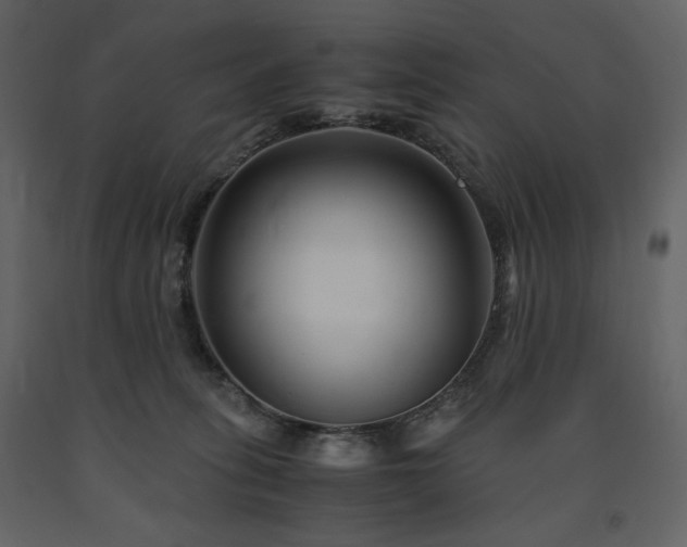 X0000091660275200708231313