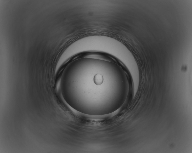 X0000091660276200708231313