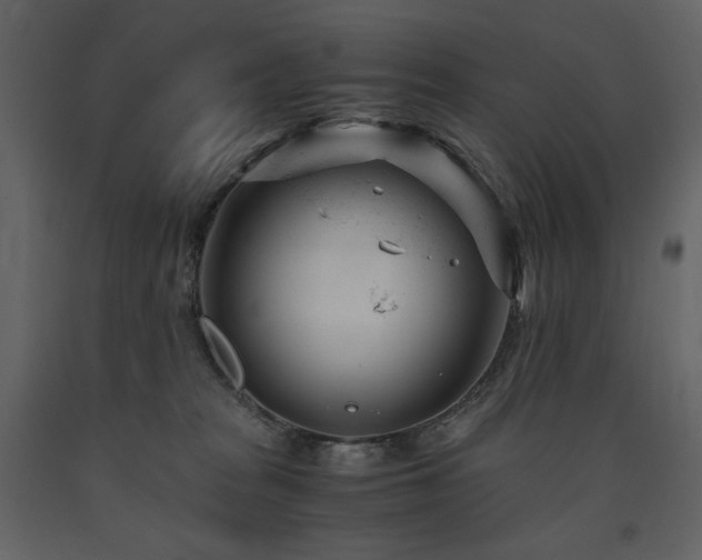 X0000091660277200708231313
