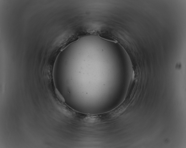 X0000091660280200708231313