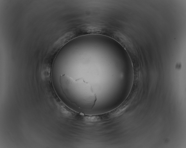 X0000091660281200708231313