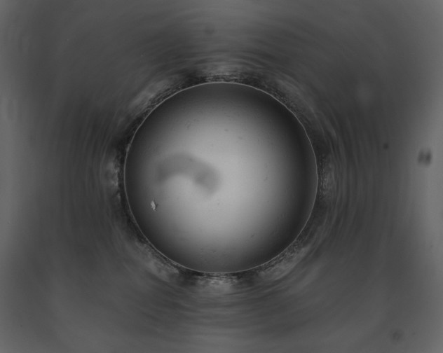 X0000091660282200708231313