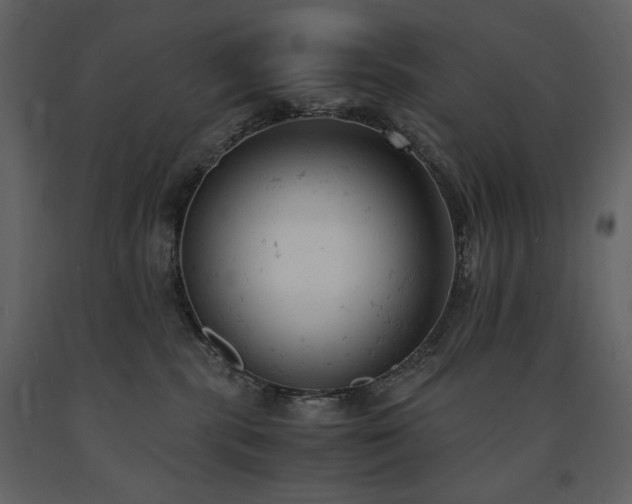 X0000091660283200708231313