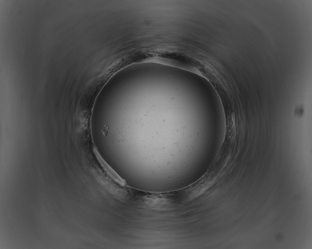 X0000091660284200708231313