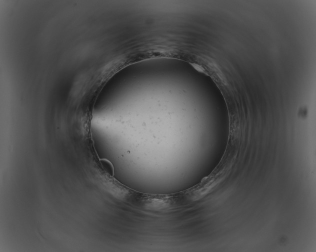 X0000091660285200708231313