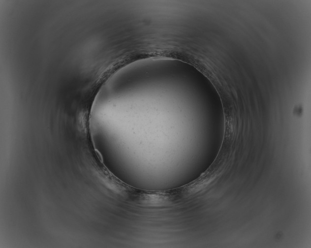 X0000091660286200708231313