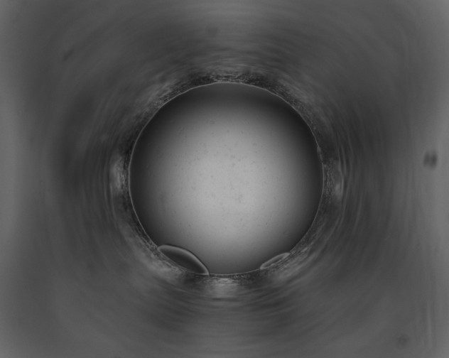 X0000091660287200708231313