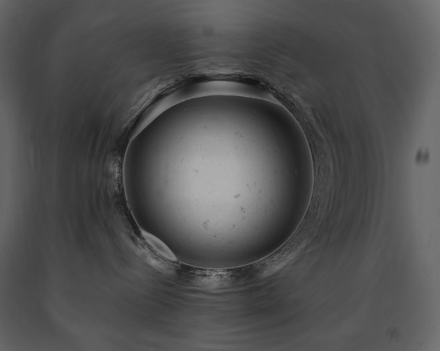 X0000091660288200708231313