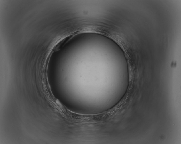 X0000091660289200708231312
