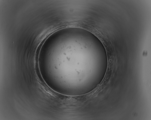 X0000091660290200708231312