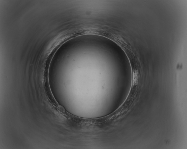 X0000091660291200708231312