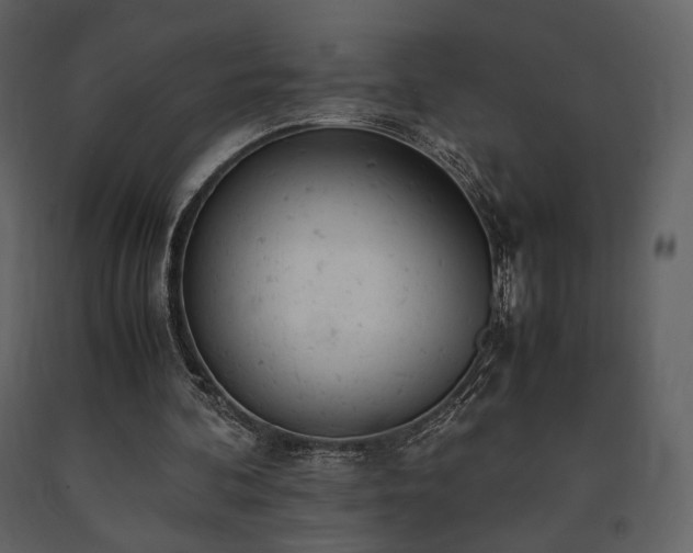 X0000091660292200708231312