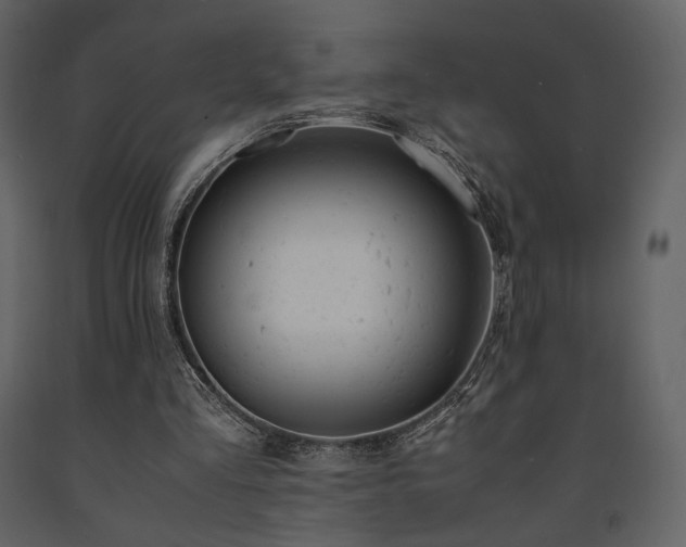 X0000091660293200708231312