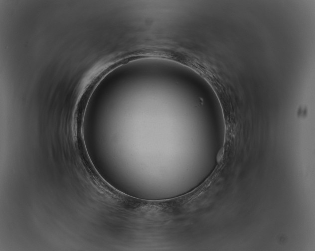 X0000091660294200708231312