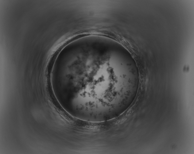 X0000091660295200708231312