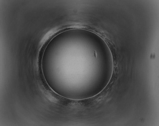 X0000091660296200708231312
