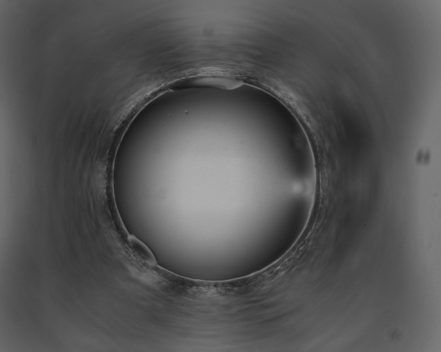 X0000091660297200708231312