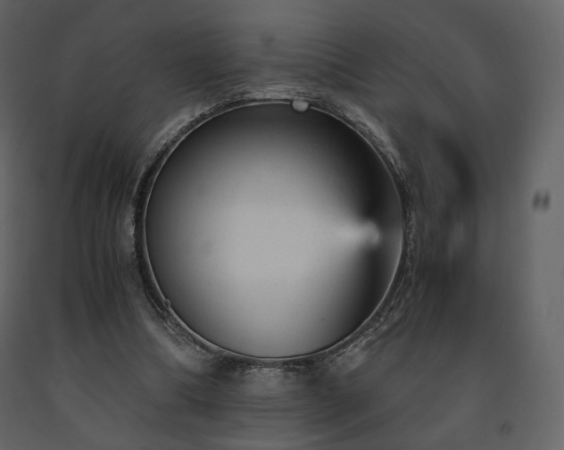 X0000091660298200708231312