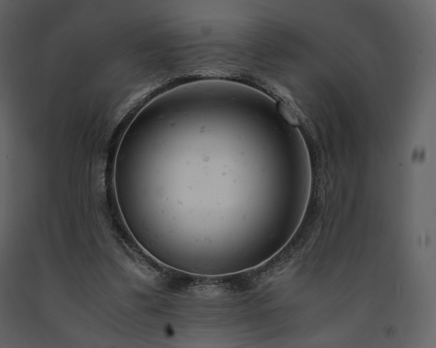X0000091660299200708231312