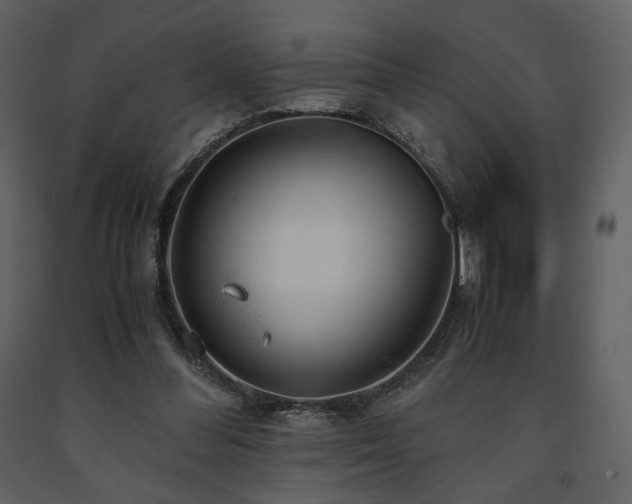 X0000091660300200708231312