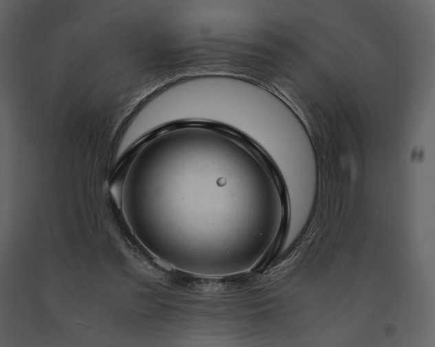 X0000091660301200708231312