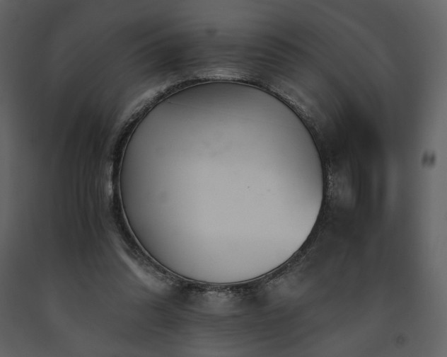 X0000091660302200708231312
