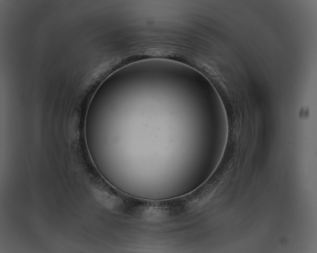 X0000091660303200708231312