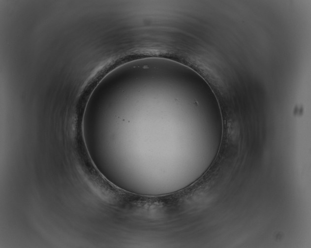X0000091660304200708231312