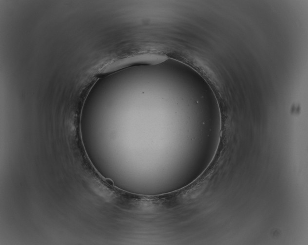X0000091660305200708231312