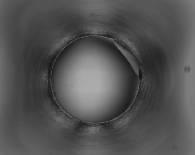 X0000091660306200708231312