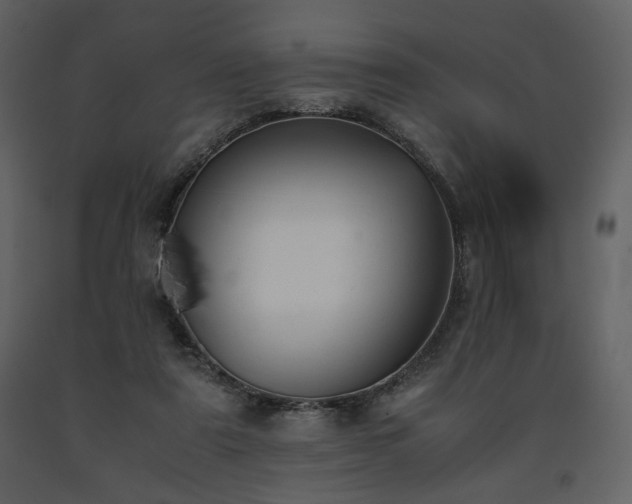 X0000091660307200708231312