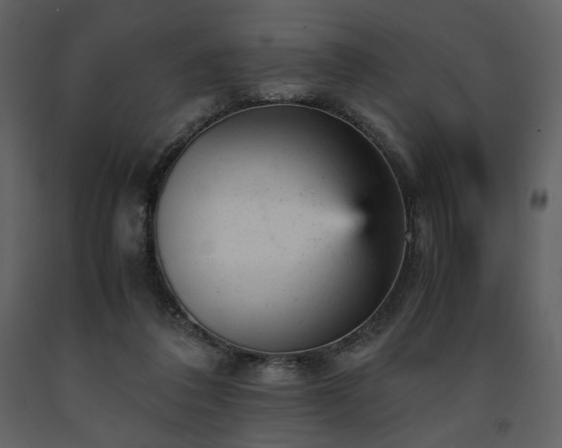 X0000091660308200708231312