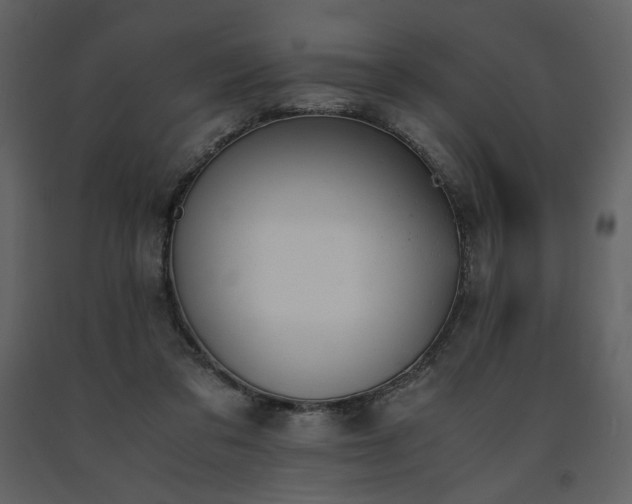X0000091660309200708231312