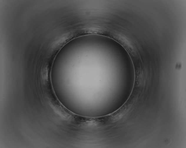 X0000091660310200708231312
