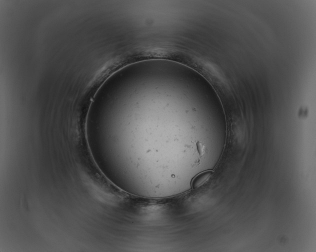 X0000091660312200708231312