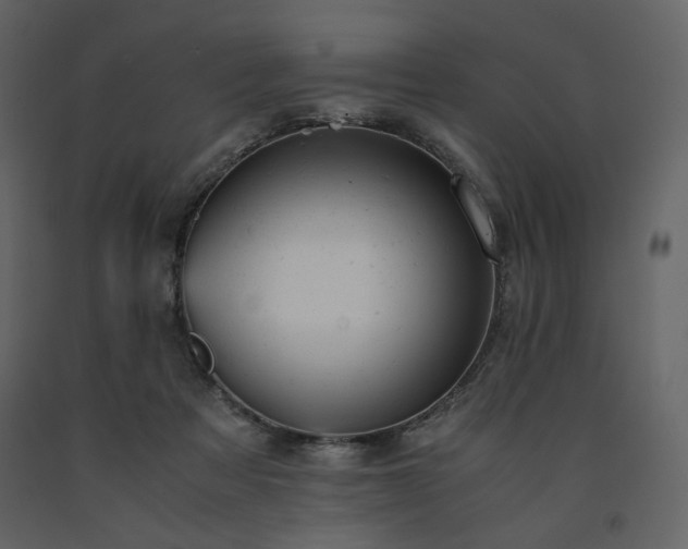 X0000091660313200708231312