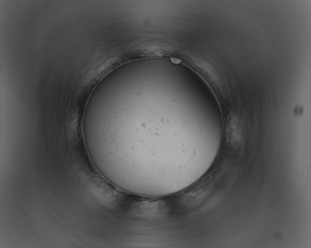 X0000091660314200708231312