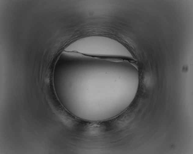 X0000091660315200708231312