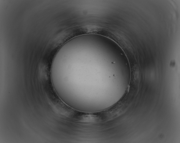 X0000091660316200708231312