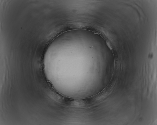 X0000091660317200708231312